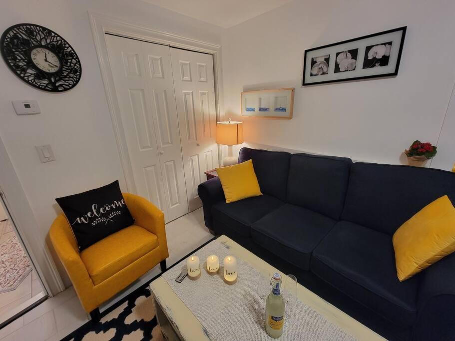 Comfy And Chic Boston Apartment! Free Parking Ngoại thất bức ảnh