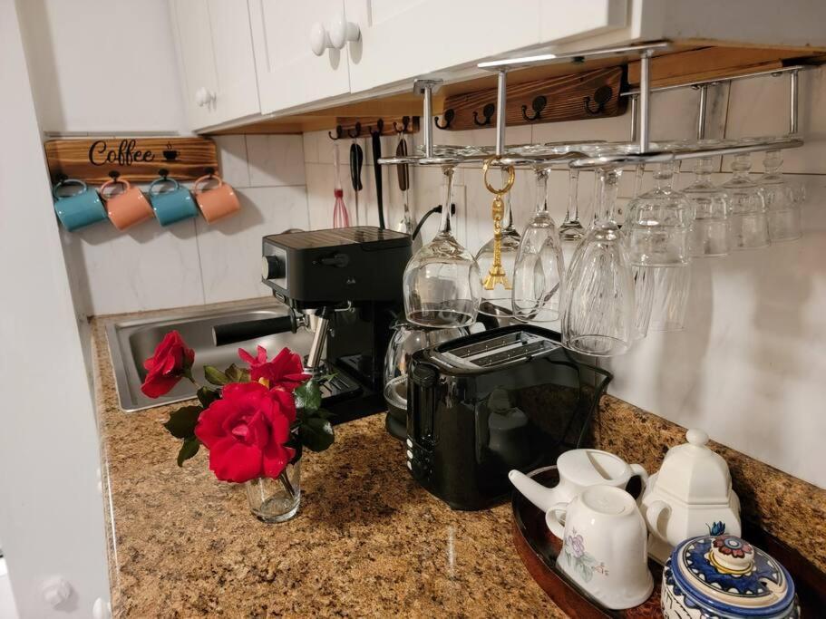 Comfy And Chic Boston Apartment! Free Parking Ngoại thất bức ảnh