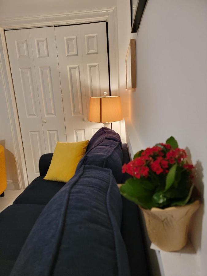 Comfy And Chic Boston Apartment! Free Parking Ngoại thất bức ảnh